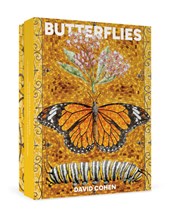 David Cohen: Butterflies Boxed Notecard Assortment
