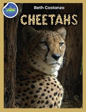 Cheetah Activity Workbook ages 4-8