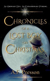 Chronicles of a Lost Boy on Christmas