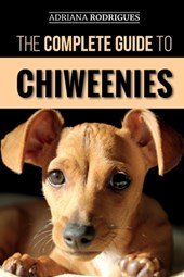 The Complete Guide to Chiweenies