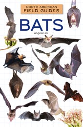 Bats
