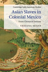 Asian Slaves in Colonial Mexico