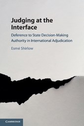 Judging at the Interface