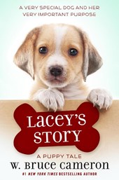 Lacey's Story