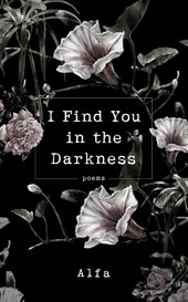 I Find You in the Darkness
