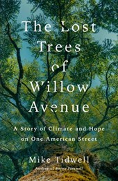 Lost Trees of Willow Avenue