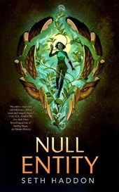 Null Entity