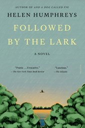 Followed by the Lark