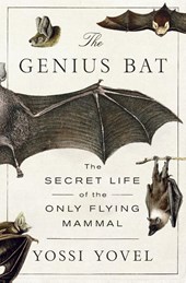 The Genius Bat