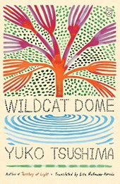 Wildcat Dome
