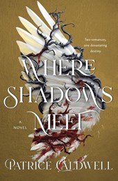 Where Shadows Meet