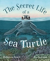 Secret Life of a Sea Turtle