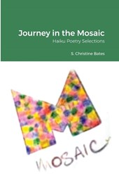 Journey in the Mosaic