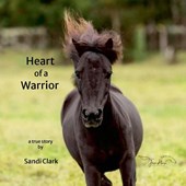Heart of a Warrior