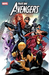 New Avengers Vol. 2: The Other Woman