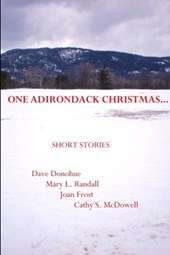 One Adirondack Christmas...
