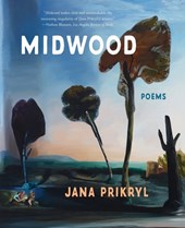 Midwood