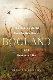 Bogland