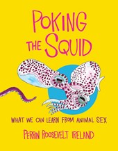 Poking the Squid