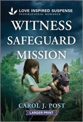 Witness Safeguard Mission