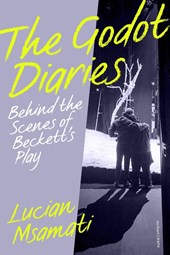 The Godot Diaries