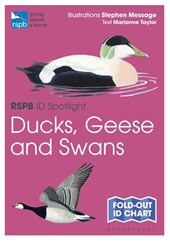 RSPB ID Spotlight - Ducks, Geese and Swans