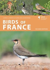 Birds of France