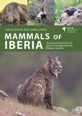 Mammals of Iberia