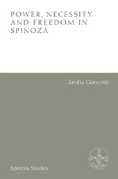 Power, Necessity and Freedom in Spinoza