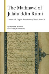 The Mathnawi of Jalalu?ddin Rumi, Volume VI