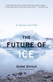 The Future of Ice