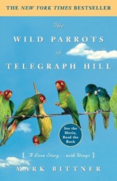 The Wild Parrots of Telegraph Hill