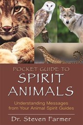 PCKT GT SPIRIT ANIMALS
