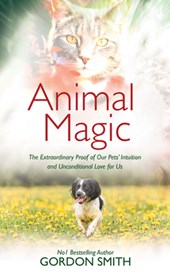 ANIMAL MAGIC