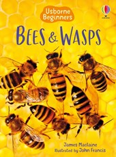 Bees and Wasps