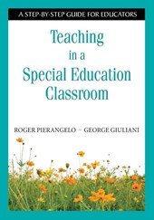 Teaching in a Special Education Classroom