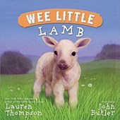 Wee Little Lamb