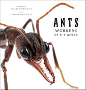 Ants: Workers of the World