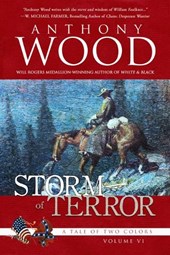 Storm of Terror: A Story of the Civil War