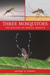 Three Mosquitoes