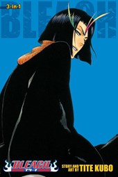 Bleach (3-in-1 Edition), Vol. 13