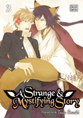 Strange & Mystifying Story, Vol. 3
