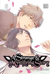 Strange & Mystifying Story, Vol. 6