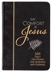 MY COMFORT IS JESUS