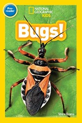 National Geographic Kids Readers: Bugs