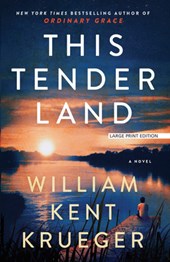THIS TENDER LAND -LP