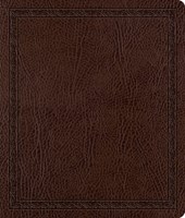 ESV Journaling Bible