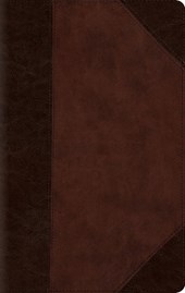 ESV Large Print Compact Bible, Red Letter