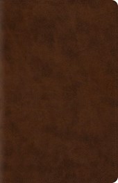 ESV Wide Margin Reference Bible, Red Letter