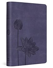 Compact Bible-ESV-Lavender Bloom